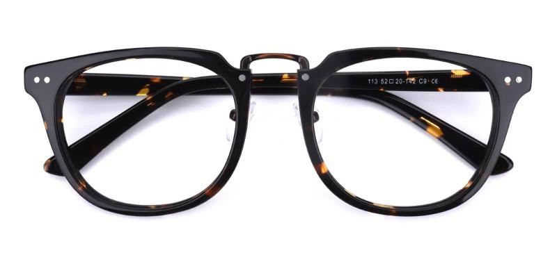 Latrobe Tortoise  Frames from ABBE Glasses