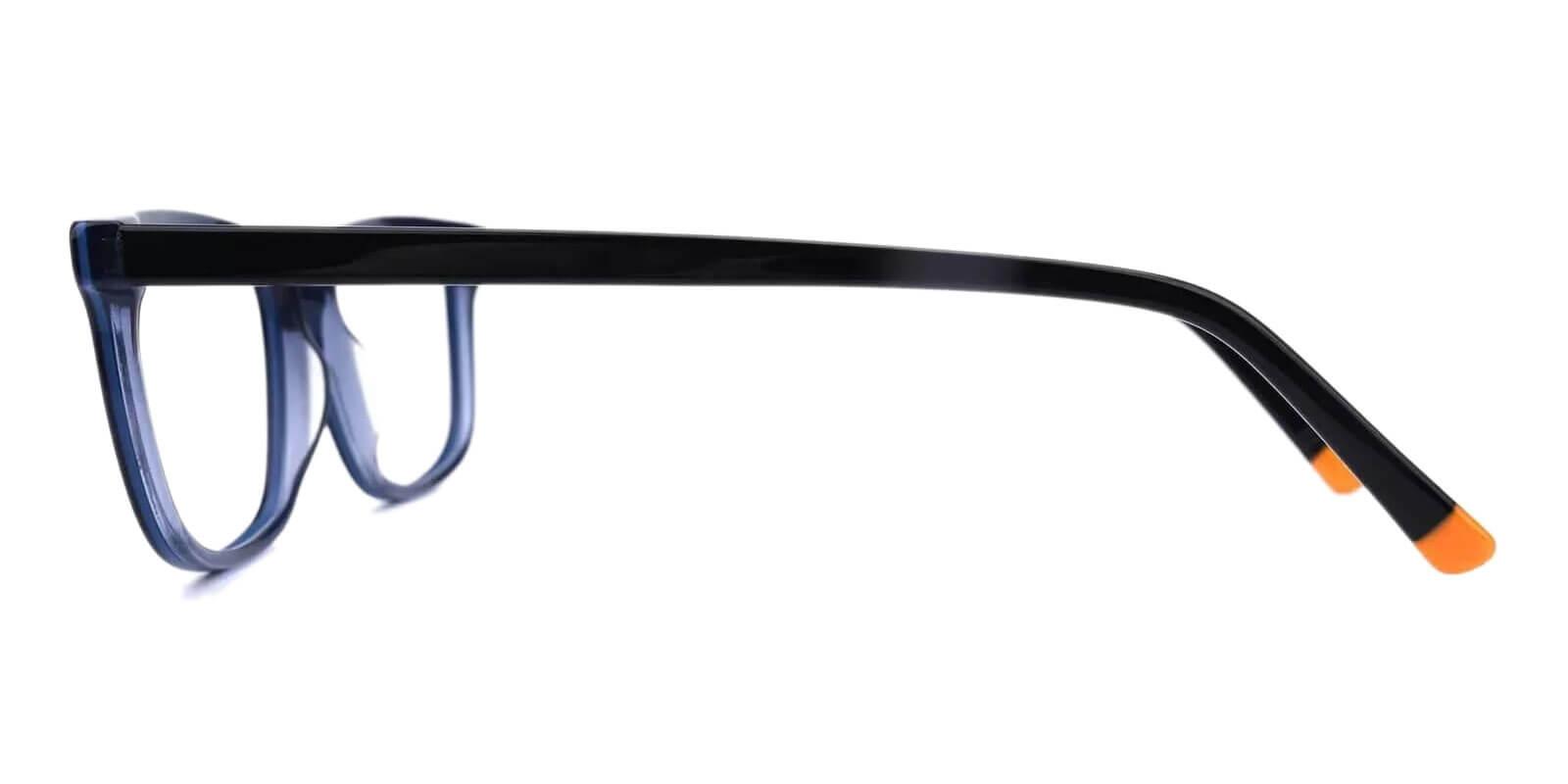 Leupp Corner Blue Acetate Eyeglasses , UniversalBridgeFit , SpringHinges Frames from ABBE Glasses