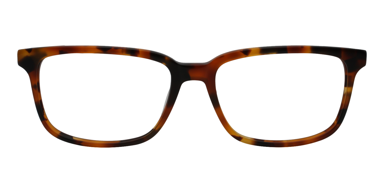 Tortoise Eyeglasses | Tortoise Shell Glasses | ABBE Glasses