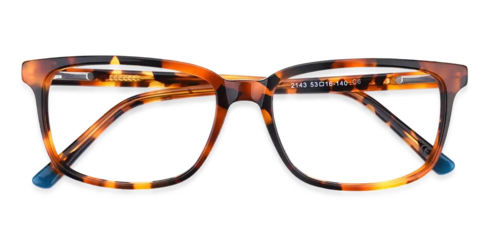 Leupp Corner Tortoise Acetate Eyeglasses , SpringHinges , UniversalBridgeFit Frames from ABBE Glasses