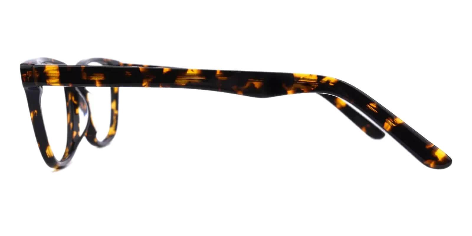 Alta Tortoise Acetate Eyeglasses , SpringHinges , UniversalBridgeFit Frames from ABBE Glasses