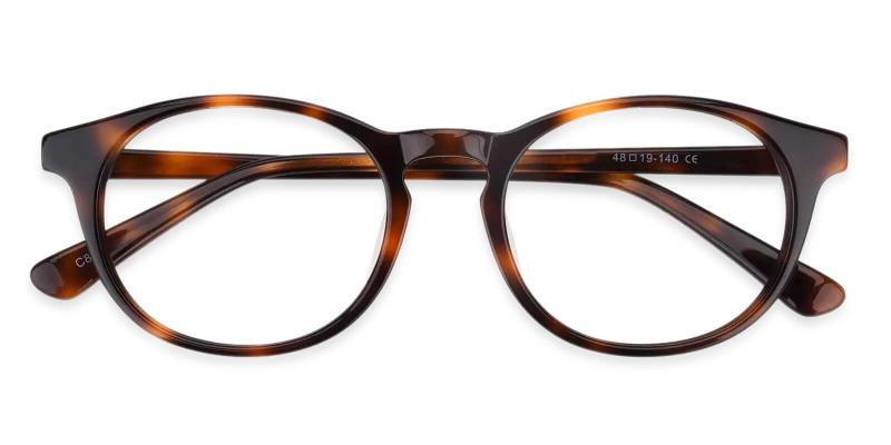 Holly Grove Tortoise  Frames from ABBE Glasses