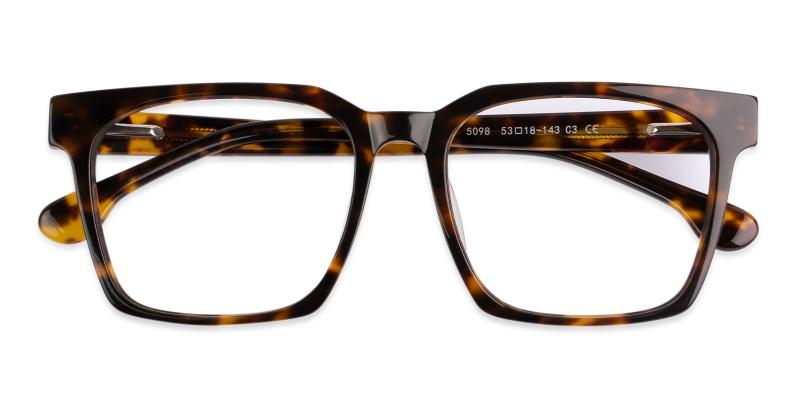 Gilbert Tortoise  Frames from ABBE Glasses