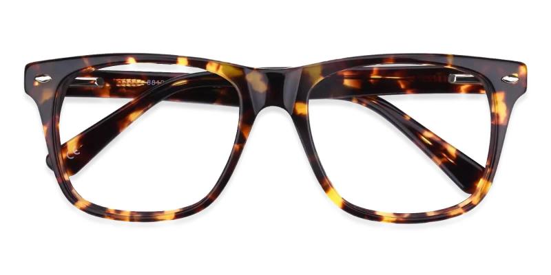 Montalvo Tortoise  Frames from ABBE Glasses