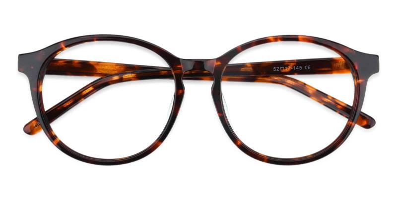 Wasco Tortoise  Frames from ABBE Glasses