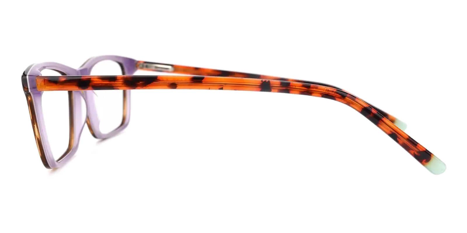 Quasqueton Tortoise Acetate Eyeglasses , SpringHinges , UniversalBridgeFit Frames from ABBE Glasses
