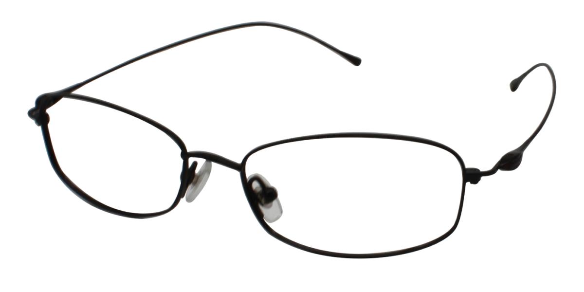 35.49 Black Titanium Eyeglasses , NosePads Frames from ABBE Glasses