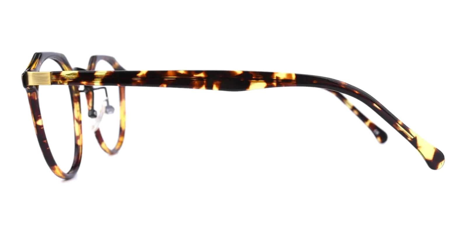 Escalante Leopard Metal , Combination , TR Eyeglasses , NosePads Frames from ABBE Glasses