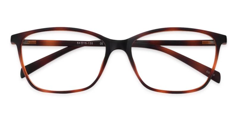 Alat Vista Tortoise  Frames from ABBE Glasses