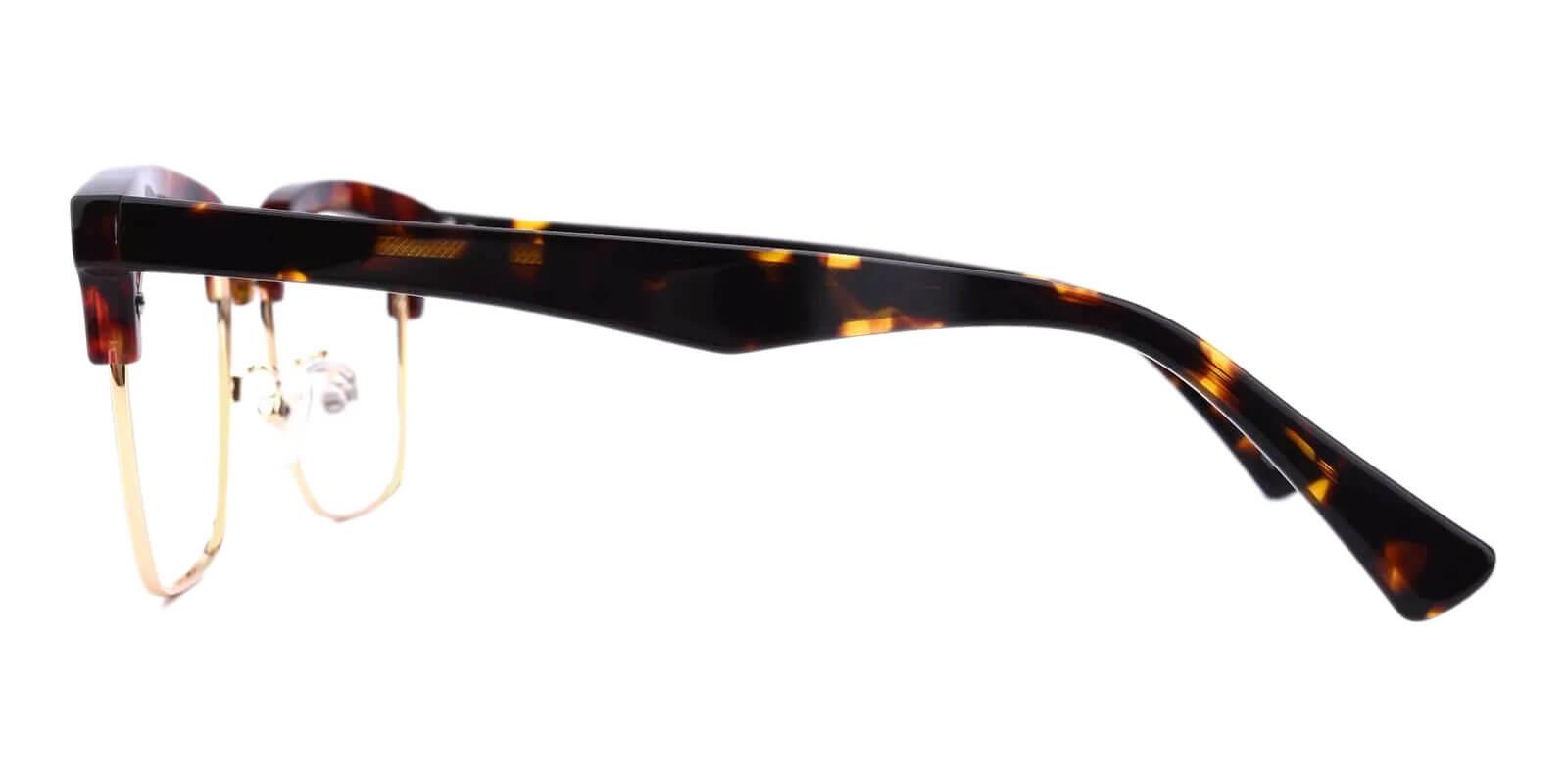 Theodosia Tortoise Combination Eyeglasses , NosePads Frames from ABBE Glasses