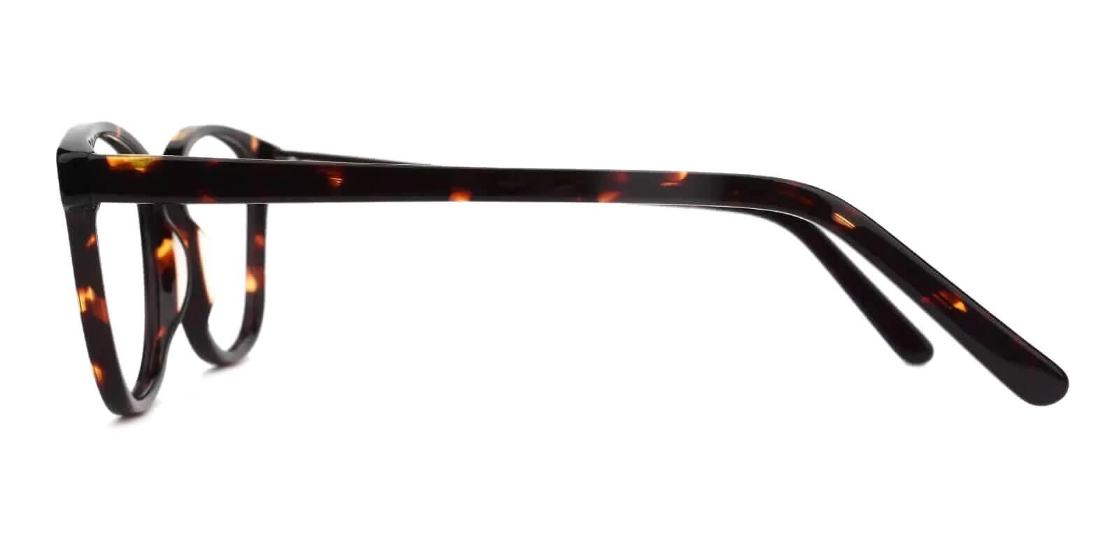 Bolivia Tortoise Acetate Eyeglasses , SpringHinges , UniversalBridgeFit Frames from ABBE Glasses
