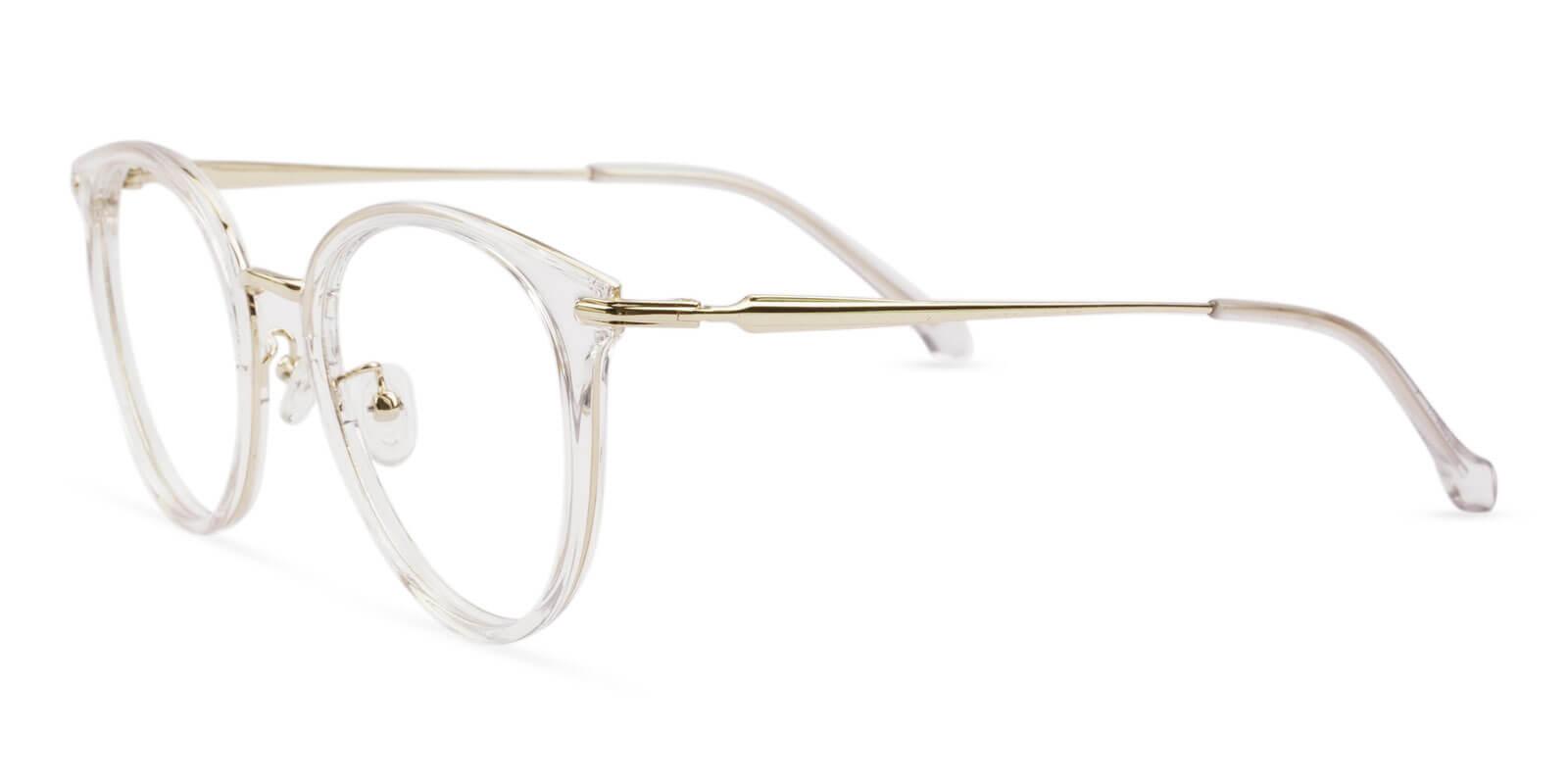 Naomi Translucent Metal , TR Eyeglasses , NosePads Frames from ABBE Glasses