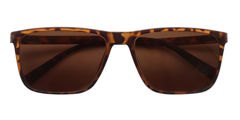 Reunion Brown  Frames from ABBE Glasses