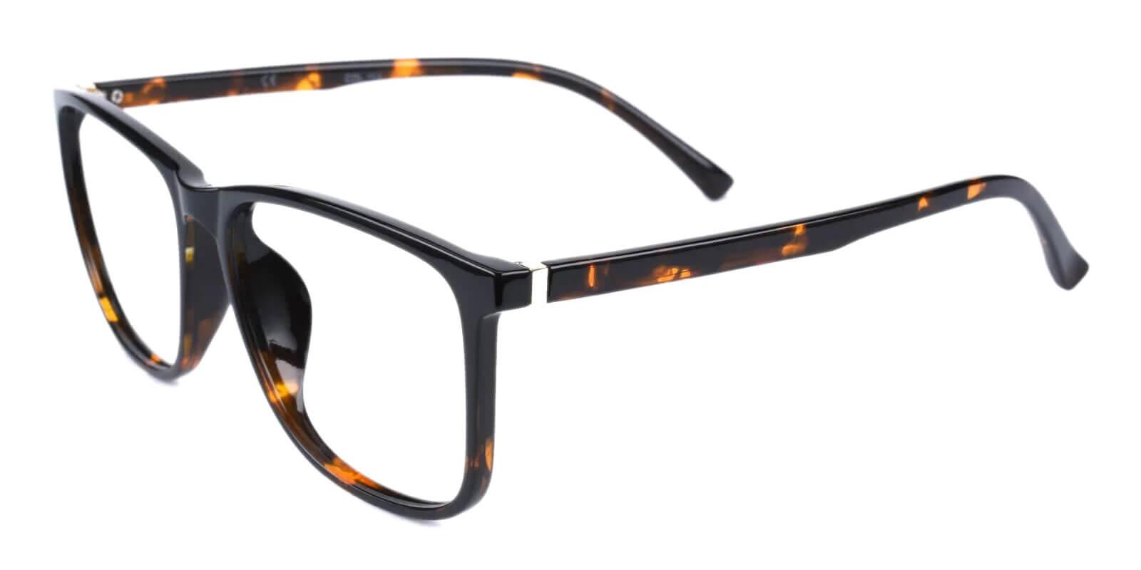 Planete Tortoise TR Eyeglasses , UniversalBridgeFit Frames from ABBE Glasses