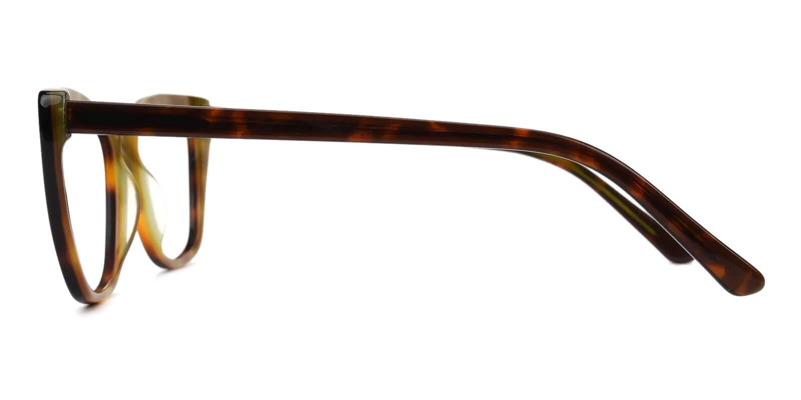 Future Tortoise Acetate Eyeglasses , SpringHinges , UniversalBridgeFit Frames from ABBE Glasses