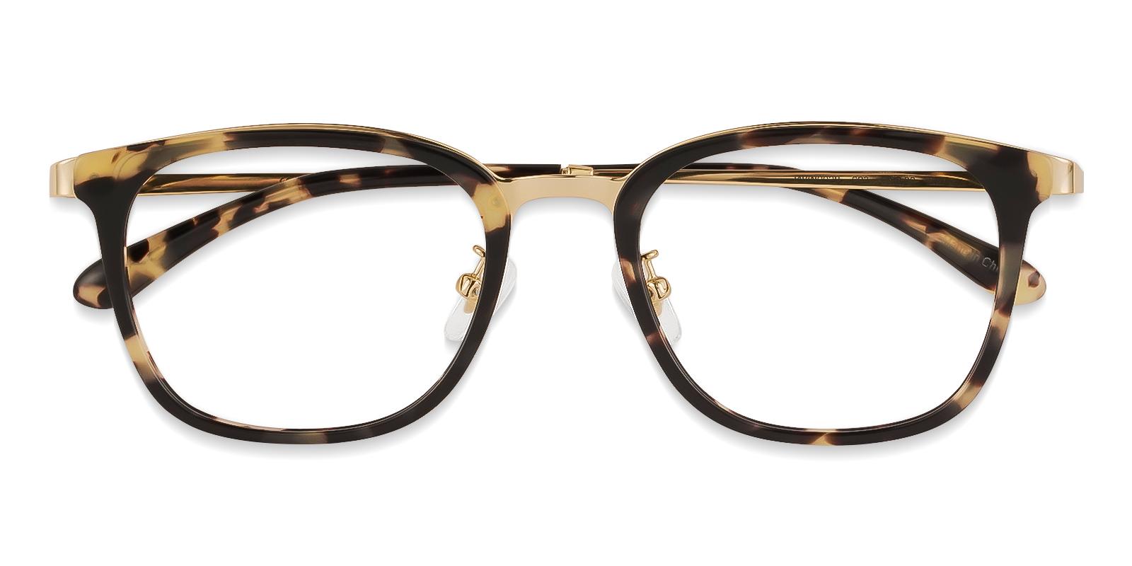 Explorer Leopard Metal Eyeglasses , NosePads Frames from ABBE Glasses