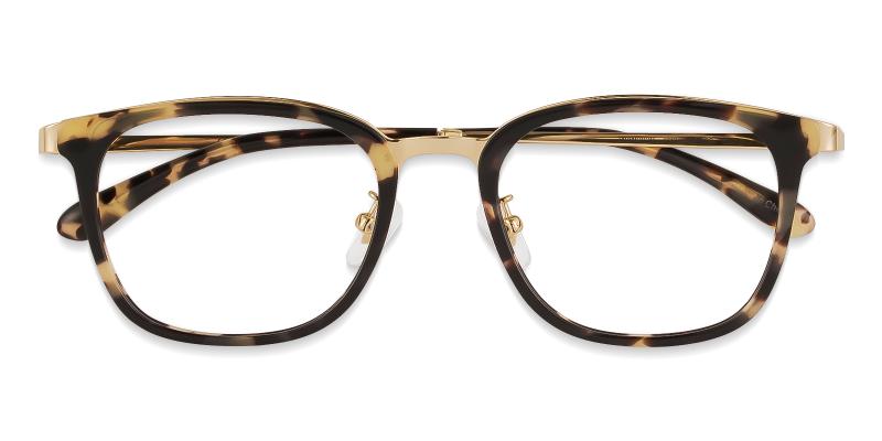 Explorer Leopard  Frames from ABBE Glasses