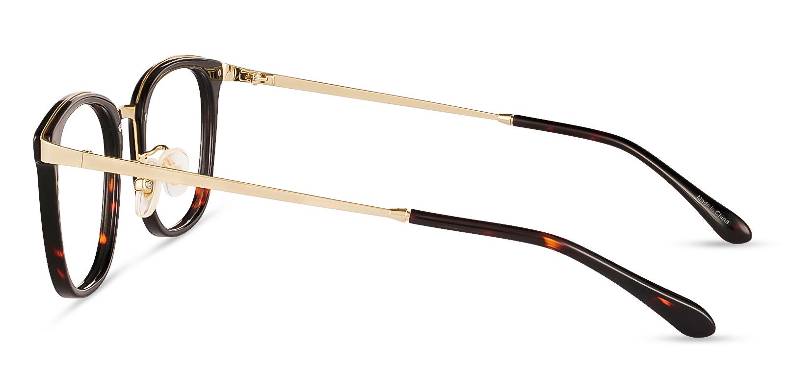 Explorer Tortoise Metal Eyeglasses , NosePads Frames from ABBE Glasses