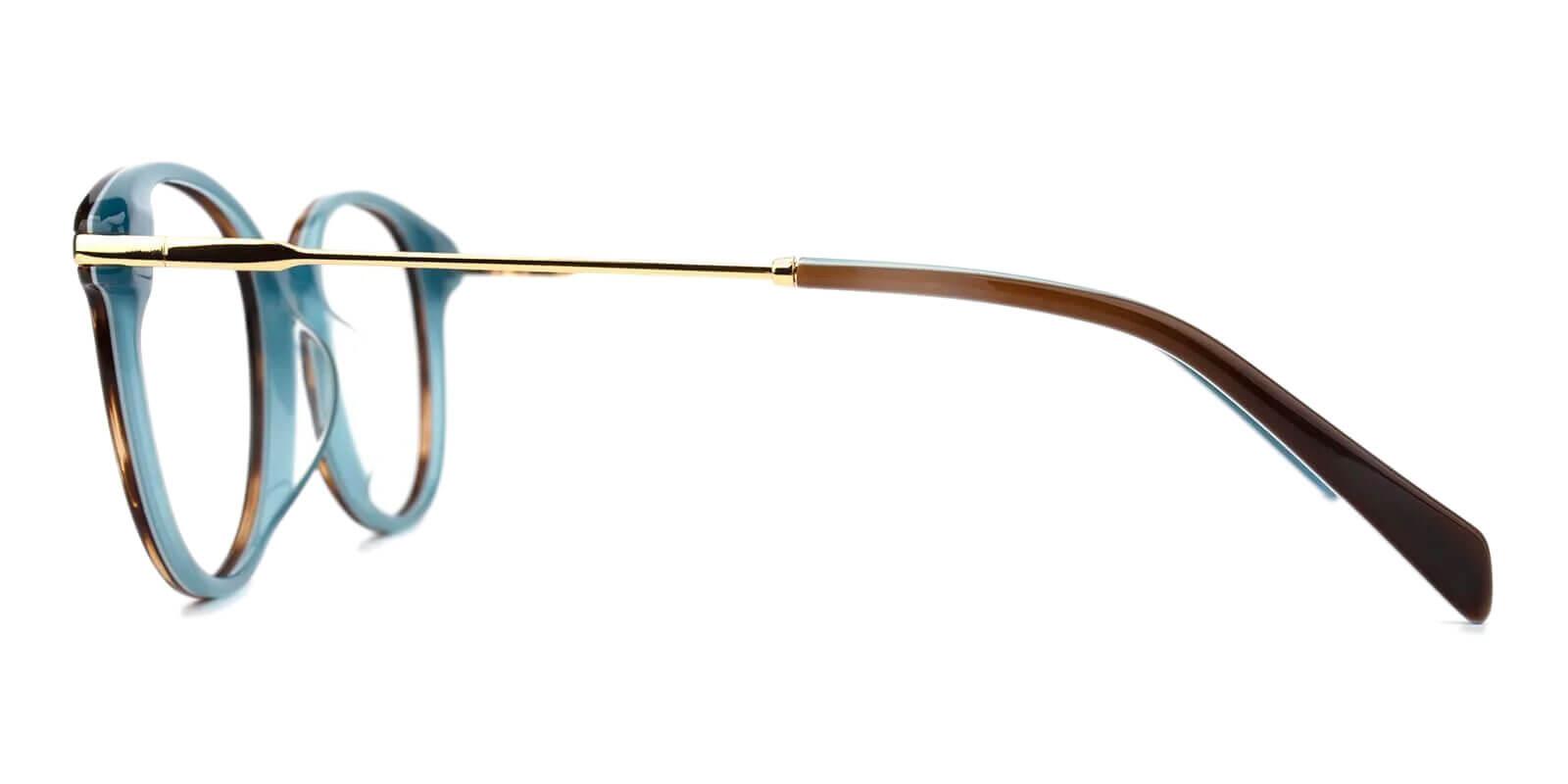 Synopsis Tortoise Acetate Eyeglasses , UniversalBridgeFit Frames from ABBE Glasses