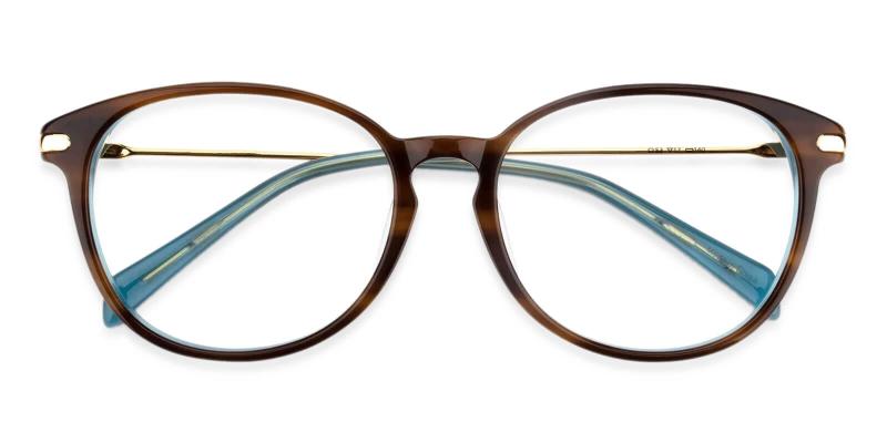 Synopsis Tortoise  Frames from ABBE Glasses