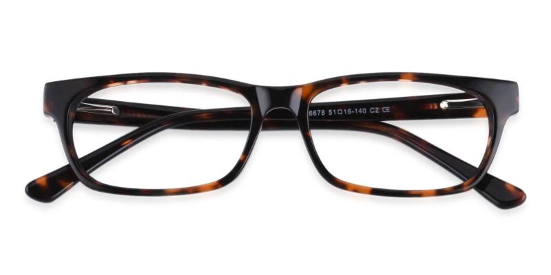 Villeneuve Tortoise  Frames from ABBE Glasses