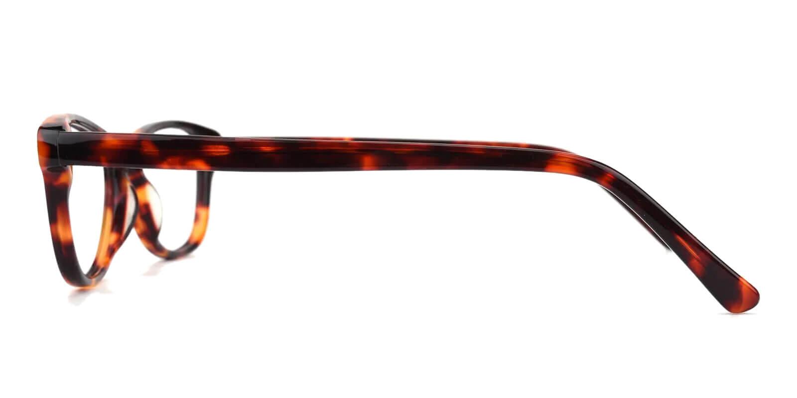 Absolutely Tortoise TR Eyeglasses , SpringHinges , UniversalBridgeFit Frames from ABBE Glasses