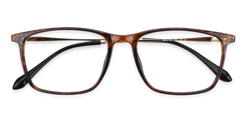 Honor Tortoise  Frames from ABBE Glasses
