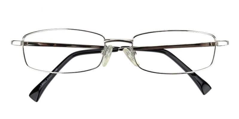 Curie Silver  Frames from ABBE Glasses