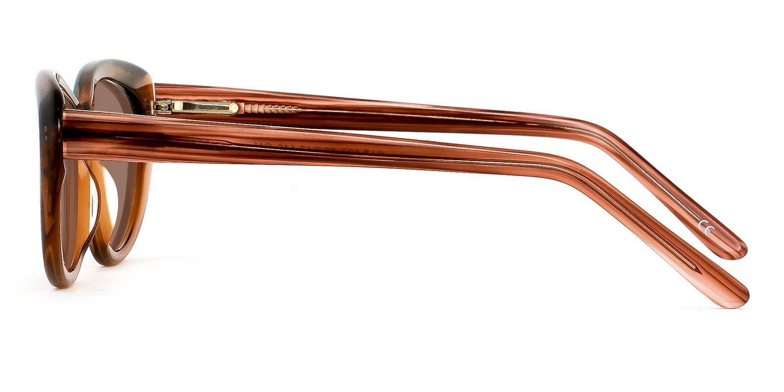 Botanist Brown Acetate Sunglasses , UniversalBridgeFit , SpringHinges Frames from ABBE Glasses