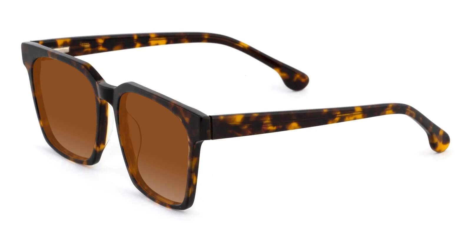 Nala Tortoise Acetate SpringHinges , Sunglasses , UniversalBridgeFit Frames from ABBE Glasses