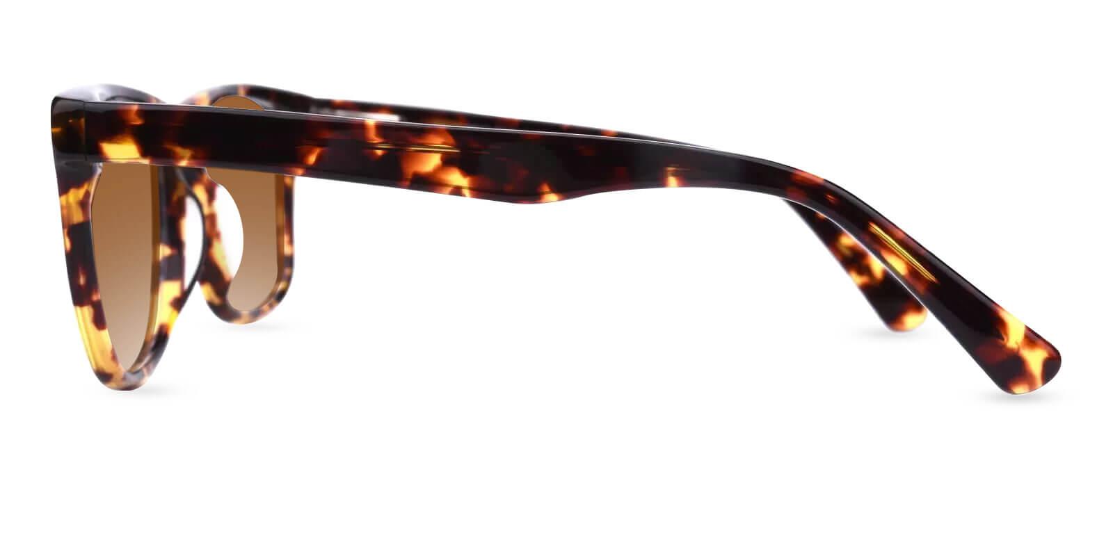 Hepburn Tortoise Acetate SpringHinges , Sunglasses , UniversalBridgeFit Frames from ABBE Glasses