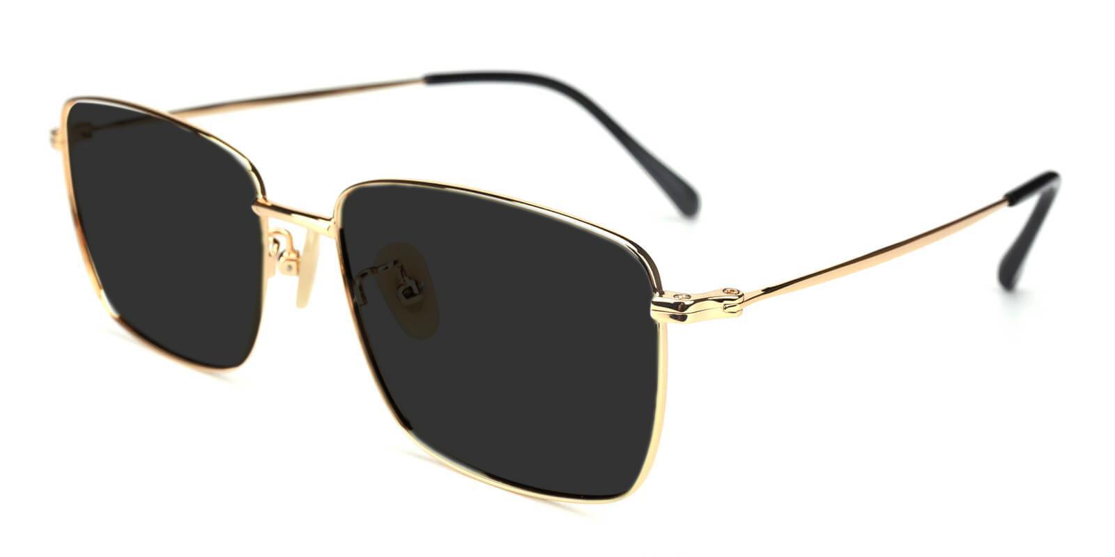 Synapse Gold Titanium Lightweight , NosePads , Sunglasses Frames from ABBE Glasses