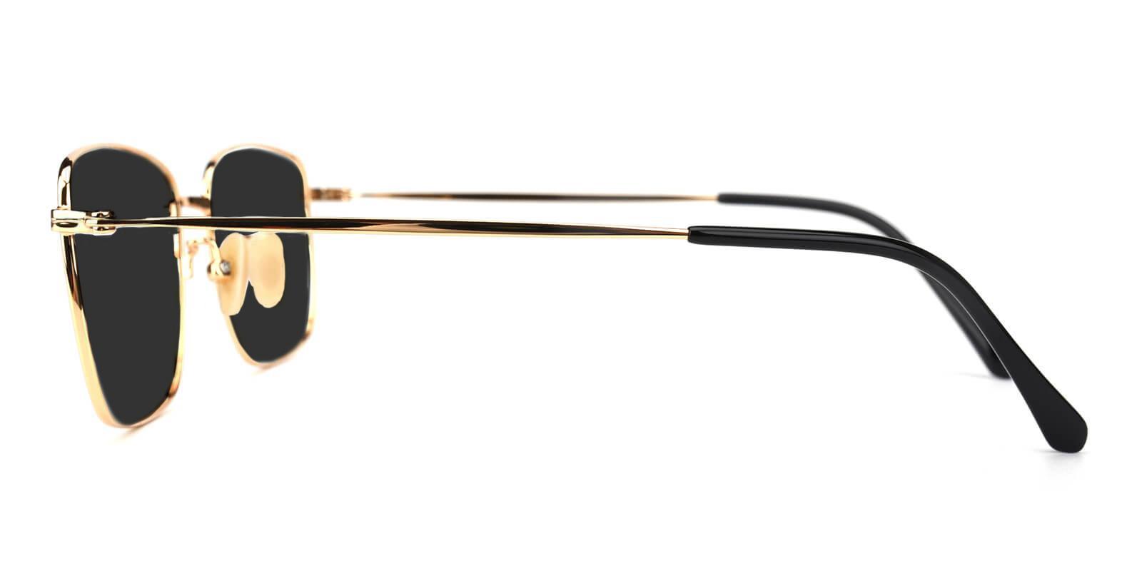 Synapse Gold Titanium Sunglasses , Lightweight , NosePads Frames from ABBE Glasses