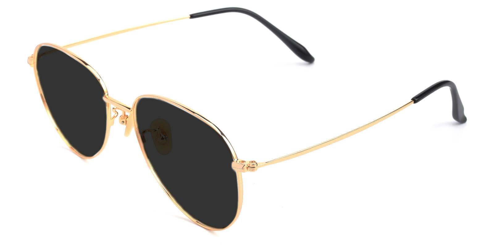 Tower Gold Titanium Lightweight , NosePads , Sunglasses Frames from ABBE Glasses