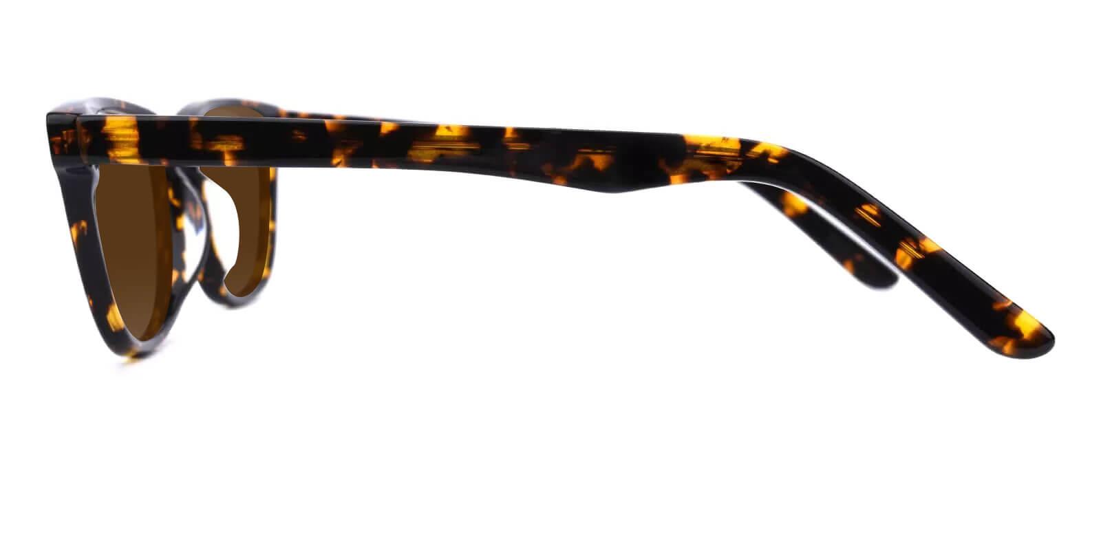 Moon Tortoise Acetate SpringHinges , Sunglasses , UniversalBridgeFit Frames from ABBE Glasses