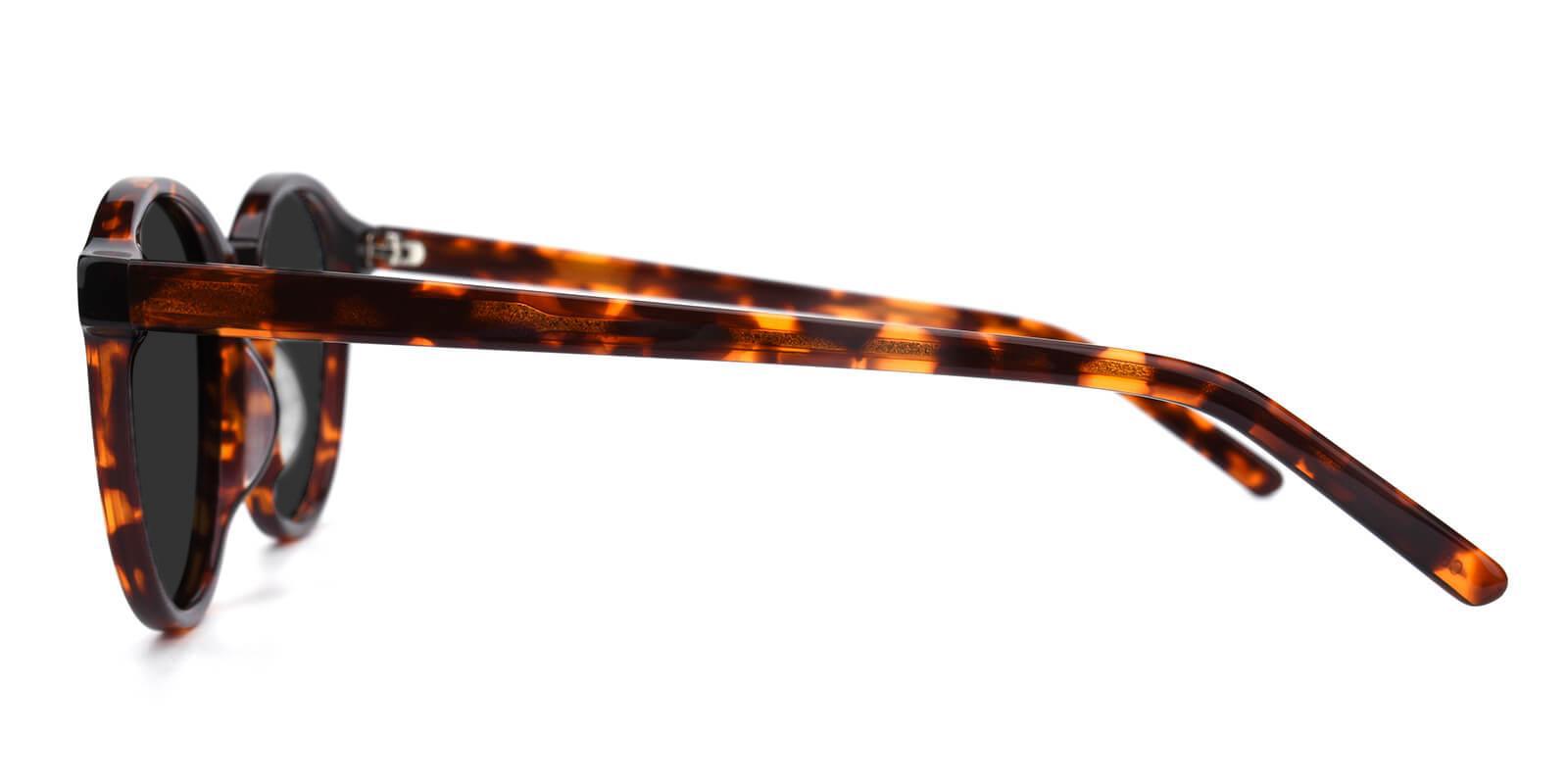 Sun Tortoise Acetate Sunglasses , UniversalBridgeFit Frames from ABBE Glasses