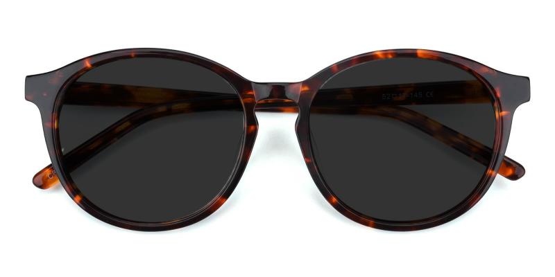 Sun Tortoise  Frames from ABBE Glasses