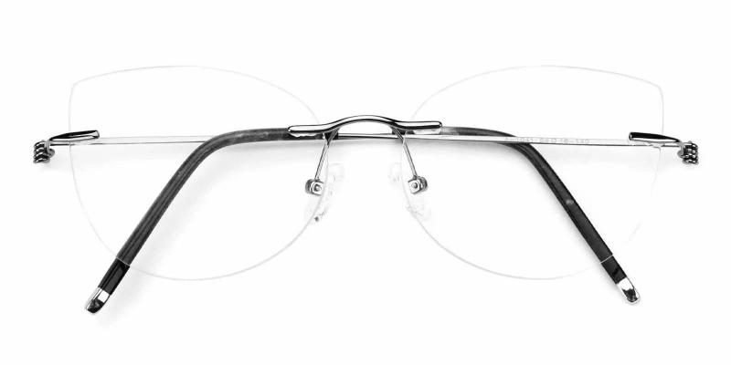 Karma Silver  Frames from ABBE Glasses