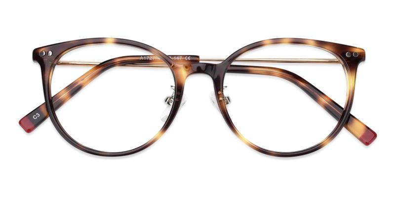 Lenny Leopard  Frames from ABBE Glasses