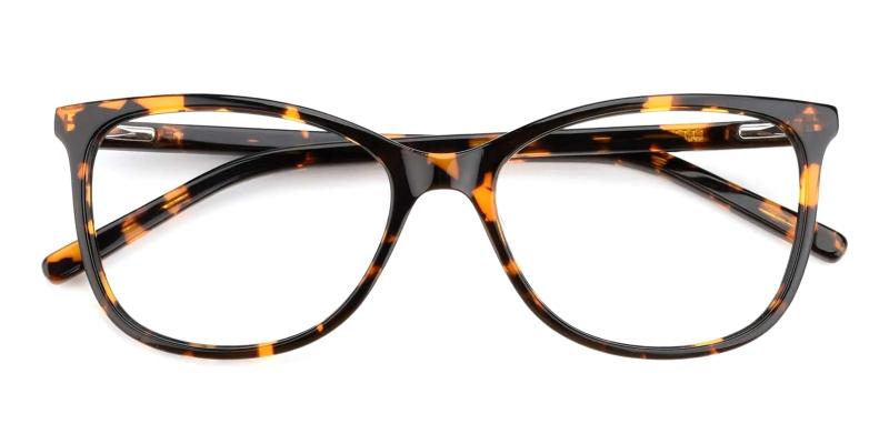 Viola Tortoise  Frames from ABBE Glasses