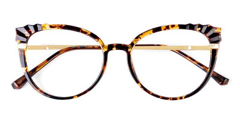 Iconic Tortoise  Frames from ABBE Glasses