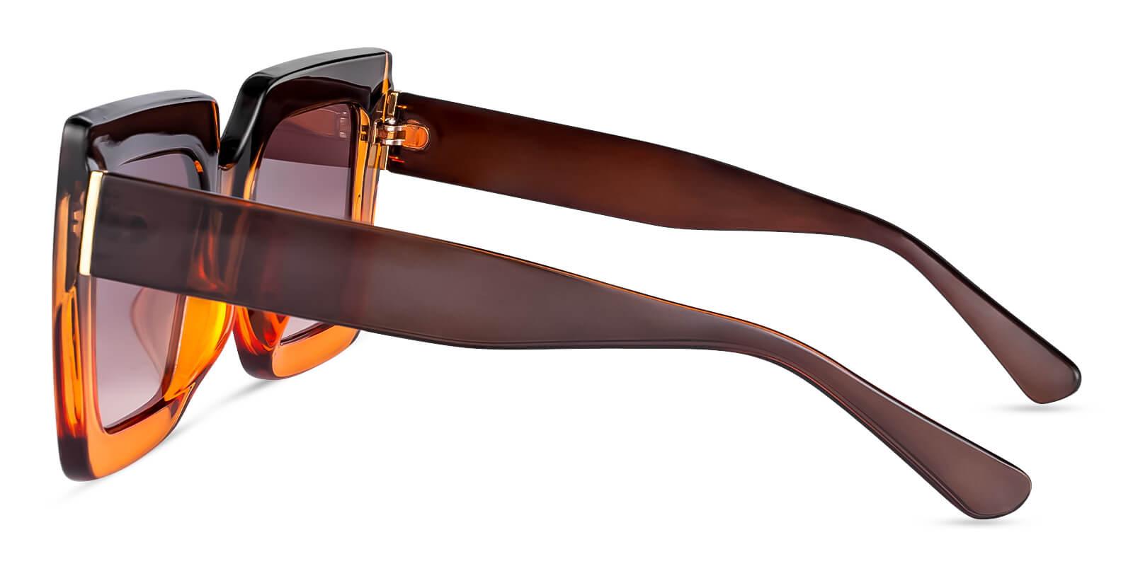 Intrigue Brown Plastic Fashion , Sunglasses Frames from ABBE Glasses