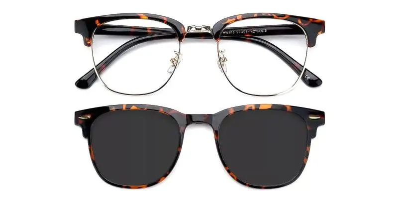 Grande Clip-On Tortoise  Frames from ABBE Glasses