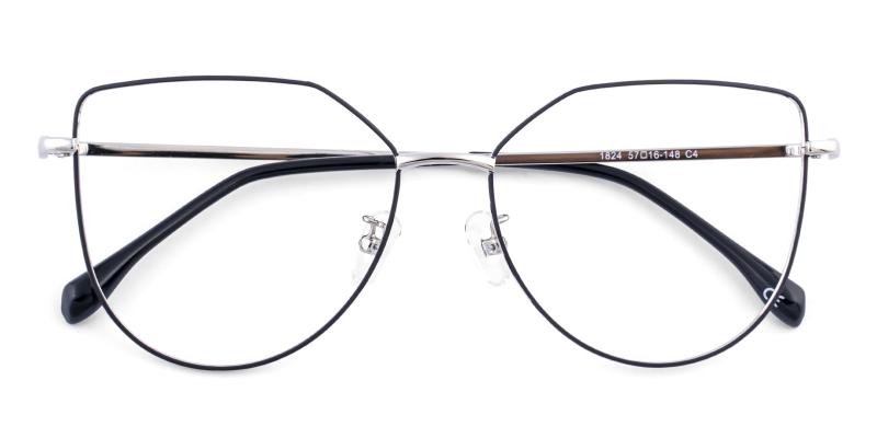 Pastth Silver  Frames from ABBE Glasses