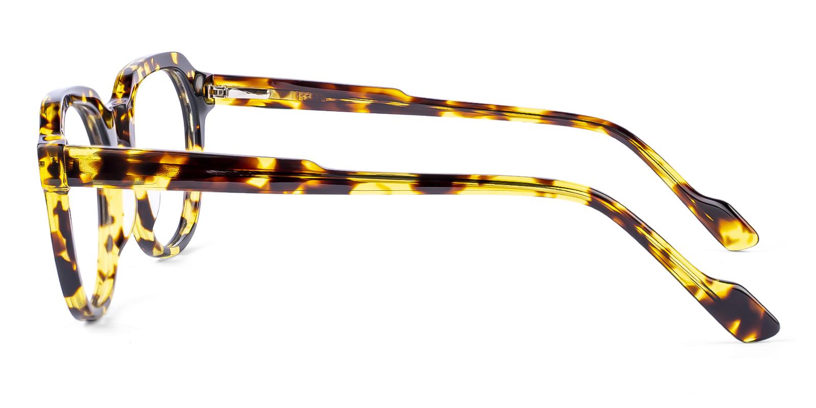 Sarcoress Tortoise Acetate Eyeglasses , SpringHinges , UniversalBridgeFit Frames from ABBE Glasses