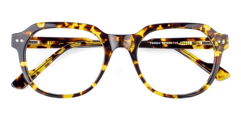 Sarcoress Tortoise  Frames from ABBE Glasses