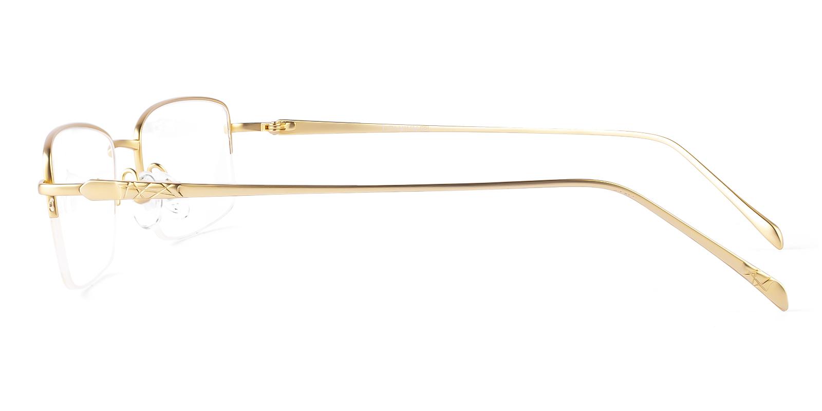 Pinia Gold Titanium Eyeglasses , NosePads Frames from ABBE Glasses