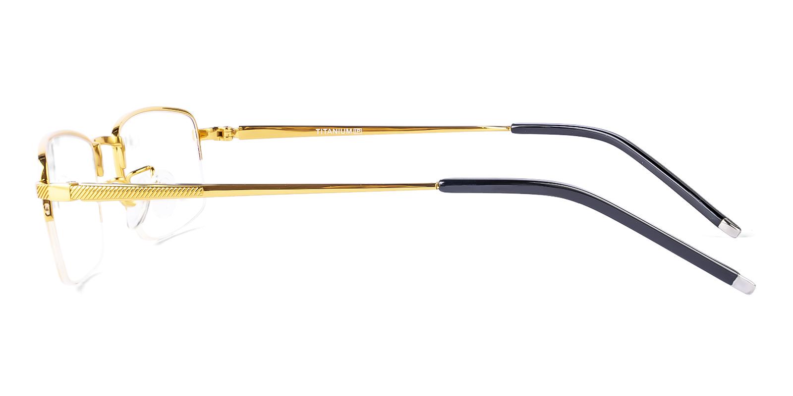 Alternier Gold Titanium Eyeglasses , NosePads Frames from ABBE Glasses
