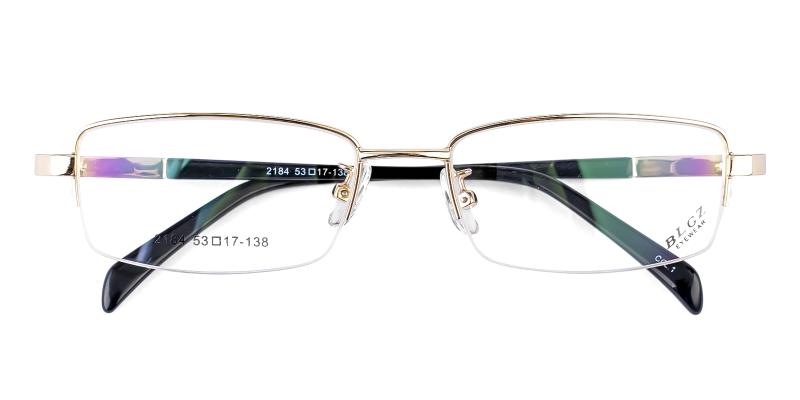 Panio Gold  Frames from ABBE Glasses
