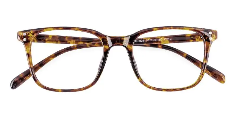 Clinoster Tortoise  Frames from ABBE Glasses